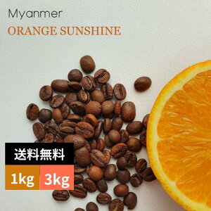 R[q[ ~}[ IWTVC G1 VBs_ XyVeBR[q[ VOIW 