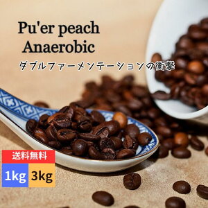 R[q[   _ v[As[` AiGArR XyVeBR[q[