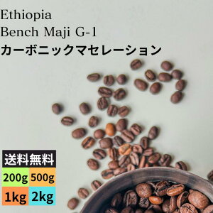  J[{jbN}Z[V G`IsAx`E}WG-1 QVEJ}`_ 10daysCM XyVeBR[q[  dĂ𑦓