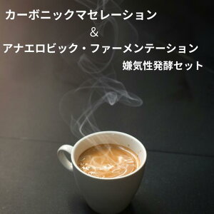 J[{jbN}Z[VAiGrbNEt@[e[V 2 400g Cy Zbg dĂ𑦓 