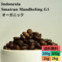 オーガニックコーヒー豆 インドネシア スマトラマンデリン G1 スペシャリティコーヒー 送料無料 焙煎仕立てを即日発送