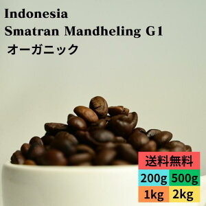 I[KjbNR[q[ ChlVA X}g}f G1 XyVeBR[q[  dĂ𑦓