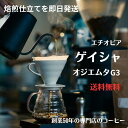 ゲイシャ オジエムタ G3 エチオピア ナチュラル スペシャリティコーヒー シングルオリジン 自家焙煎 送料無料 焙煎仕立てを即日発送