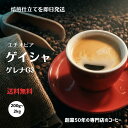 ゲイシャ グジ地区ゲレナ農園 G3 エチオピア ナチュラル スペシャリティコーヒー 自家焙煎 送料無料 即日発送