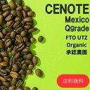 オーダー焙煎 コーヒー豆 送料無料 メキシコ セノーテ 有機栽培承認農園 コーヒー豆 100％使用 Qグレード スペシャリティコーヒー シングルオリジン