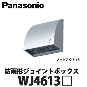 yzPanasonic ZpOz hJ`WCg{bNX WJ4613 mbNAEg×3 S4F (zCg zCgVo[ VpuY ubN)