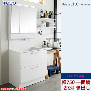 TOTO ʉϑ IN^[uCg Ԍ750mm 2io^Cv nCNX ʋ LEDƖ ʒndl