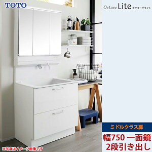 TOTO ʉϑ IN^[uCg Ԍ750mm 2io^Cv ~hNX ʋ LEDƖ ʒndl