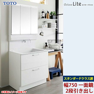 TOTO ʉϑ IN^[uCg Ԍ750mm 2io^Cv X^_[hNX zCg ʋ LEDƖ ʒndl
