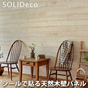SOLIDECO �\���f�R �ȒP�\�t�� �V�R�؂̕ǃp�l�� D-03 �z���C�g�u���b�V�� WHITE BRASH�F 1�P�[�X(10����) 1.51�������[�g��