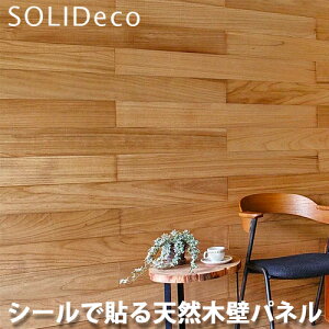 SOLIDECO �\���f�R �ȒP�\�t�� �V�R�؂̕ǃp�l�� D-01 �L���N���A KIRI CLEAR�F 1�P�[�X(10����) 1.51�������[�g��