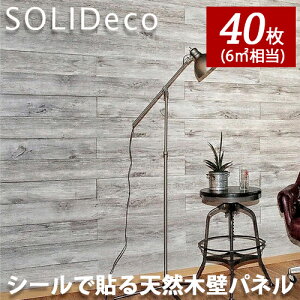 SOLIDECO �\���f�R �ȒP�\�t�� �V�R�؂̕ǃp�l�� �I�[�N�z���C�g�O���[ D-06 OAK WHITE GRAY�� 4�P�[�X(40����) 6�������[�g��