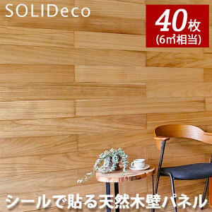 SOLIDECO �\���f�R �ȒP�\�t�� �V�R�؂̕ǃp�l�� D-01 �L���N���A KIRI CLEAR�F 4�P�[�X(40����) 6�������[�g��