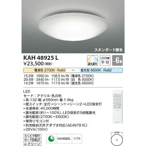 RCY~Ɩ LED Rt X^_[hFV[O KAH48925L `6p