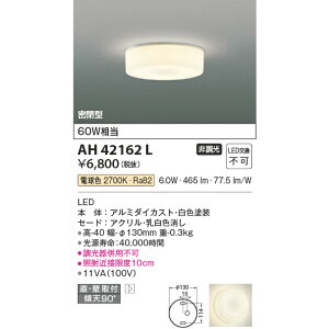 �R�C�Y�~ ���^�V�[�����O KAH42162L �d���F 60W����