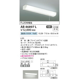 RCY~ Lb`Cg KAB46897L F FL20W