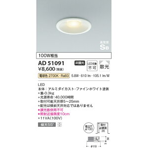 RCY~ CSB_ECg 100W dF KAD51091