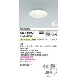 RCY~ CSB_ECg 100W F KAD51092