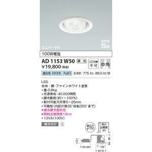 RCY~ CSBjo[T_ECg 100W dF KAD1153W50