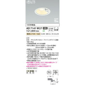 RCY~ CSB_ECg lZTt_ECg 100W F KAD7141W27