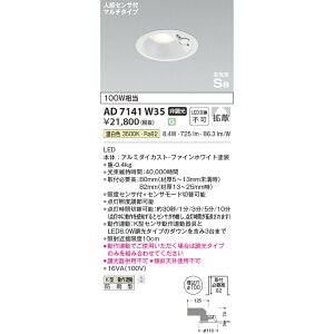 RCY~ CSB_ECg lZTt_ECg 100W F KAD7141W35