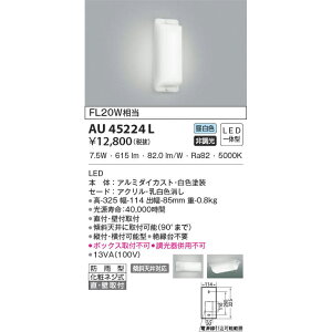 コイズミ エクステリアライト 防雨防湿型ブラケット FL20W相当 昼白色 KAU45224L