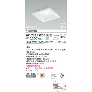 �R�C�Y�~ ���C��SB�_�E�����C�g 100W���� �����F KAD7315W50