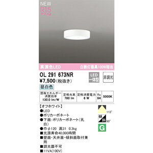 I[fbN ^LEDV[O _ECg 񒲌 M100W OL291673NRS F
