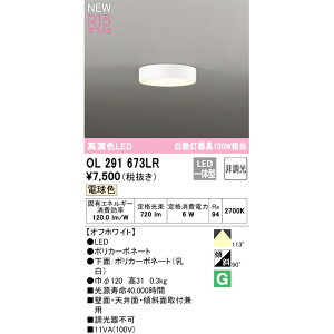 I[fbN ^LEDV[O _ECg 񒲌 M100W OL291673LRS dF