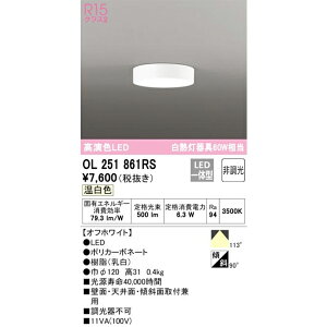 I[fbN ^LEDV[O _ECg 񒲌 M60W OL251861RS F