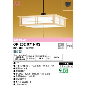 I[fbN ay_g LED 6܂ OP252971NRS F