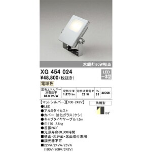 I[fbN OpLED dF }bgVo[ XG454024S ⓔ80W
