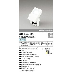 オーデリック 屋外用LED投光器 昼白色 オフホワイト XG454029S 水銀灯100W相当