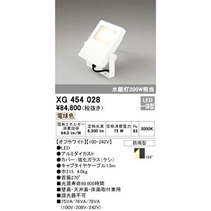 I[fbN OpLED dF ItzCg XG454028S ⓔ200W