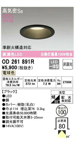 I[fbN LEĎ^_ECg ubN OD261891RS dF ω΍\Ή M100W