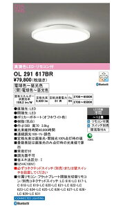 I[fbN LEDV[OCg ItzCg dF`F OL291617BRS `12