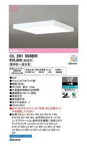 I[fbN ^LEDV[O ItzCg p^ `8 EF^Cv OL291509BRS