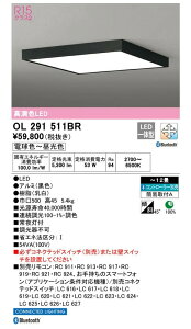 I[fbN ^LEDV[O ubN p^ `12 EF^Cv OL291511BRS