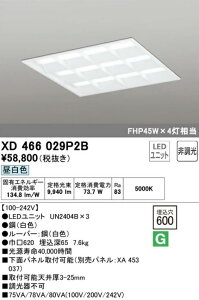 �y���������z�I�[�f���b�N LED�X�N�G�A�^�x�[�X���C�g �����^/���[�o�[�t �����F XD466029P2BS