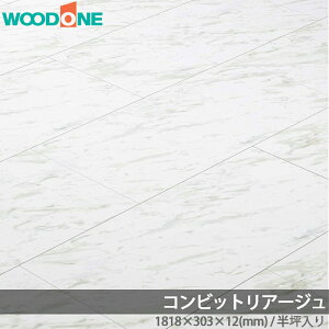 Ebh t[O RrbgA[W Ζڕ h}XzCg 0.5ؓ g[Ή FES278D-9-DW