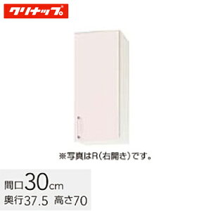 Nibv XeLrLb` SK ~h݌˒I I1i Ԍ30cm VNsN(WTRP-30M) / VNzCg(WTRW-30M) / VNCG[(WTRY-30M)