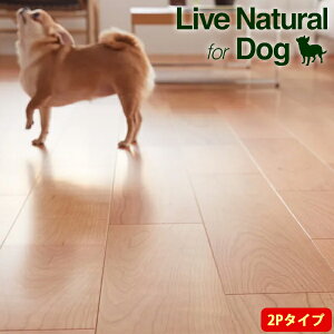 EbhebN t[O Cui` MSX X[p[6 for Dog 2P^Cv 1؁i3.3āj/1 g[Ή 6.4mm ωݏ ɂ₳ɂ nCWFjbNdl