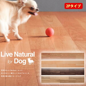 EbhebN t[O Cui` vX for Dog 2P^Cv 1؁i3.3āj/1 g[Ή 12mm ωݏ ɂ₳ɂ nCWFjbNdl