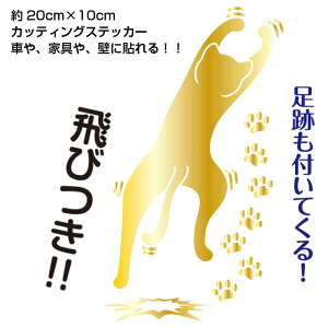 [ok  oCN  V[  S[h XebJ[   킢  XebJ[ JbeBOXebJ[ EH[XebJ[ EH[V[ L̃V[ L ˂ 