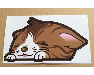 l! [ok  oCN ̑ J[pi Oł łg  O O\ J L XebJ[ V[ LObY lRG lRObY LG (Sticker CAT)@V} 14cm-8cm ql