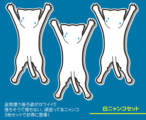 l! 3Zbg V[ XebJ[  oCN  O O\ Ԃj LObY lRG lRObY LG(Sticker CAT)J[pi/ԃXebJ[/J[XebJ[/XebJ[////
