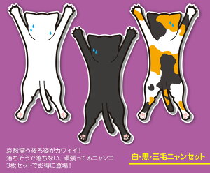 l! 3Zbg V[ XebJ[  oCN  O Ԃj LObY lRG lRObY LG(Sticker CAT)J[pi/ԃXebJ[/J[XebJ[/XebJ[////O//