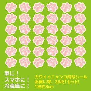36Zbg V[ XebJ[  oCN  O O\ LObY lRG lRObY LG V[ J[pi/ԃXebJ[/J[XebJ[/L/lR/˂//킢/