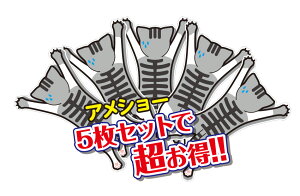 yz5Zbg XebJ[  Oł łg鉮 O O\ AV[jR J[XebJ[ XebJ[ J[pi  lR ˂ 킢 IV  