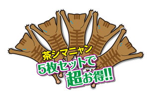 yz5Zbg XebJ[  Oł łg鉮 O O\ V}jR J[XebJ[ XebJ[ J[pi  lR ˂ 킢 IV  